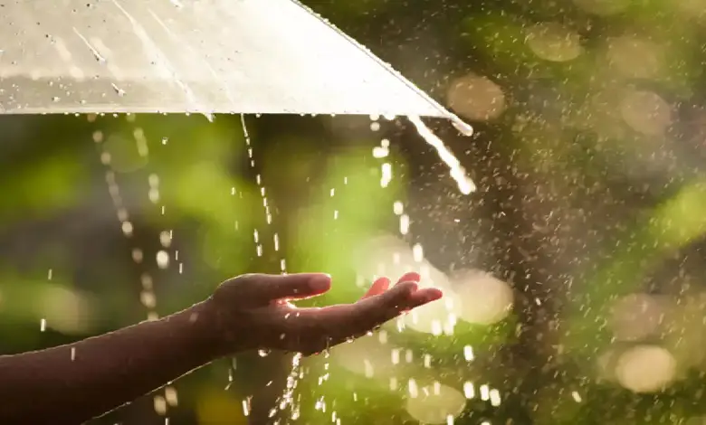 Cloudy skies over Gujarat as IMD forecasts widespread rainfall and on-time monsoon arrival in June 2025.