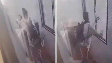 Mumbai Resident Faces Charges for Throwing Pet Cat from 9th Floor