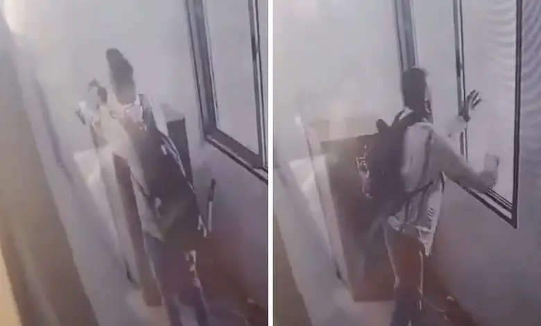 Mumbai Resident Faces Charges for Throwing Pet Cat from 9th Floor
