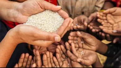 India’s Poverty Rate Poised to Drop to 4.6% in 2024, SBI Report Predicts