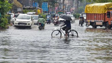 Heavy Rainfall Hits 101 District in Gujarat in Last 24 Hours: Talod Records Highest at 2 Inches, New Rain Spell Begins Today