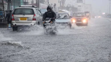 Heavy Rains Flood Surat with 16 Inches in 36 Hours, Narmada’s Nandod Sees 8.66 Inches
