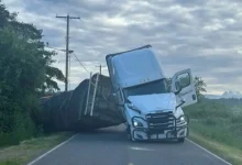 Bees on the Loose: Truck Crash Sparks Chaos in Washington