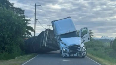 Bees on the Loose: Truck Crash Sparks Chaos in Washington