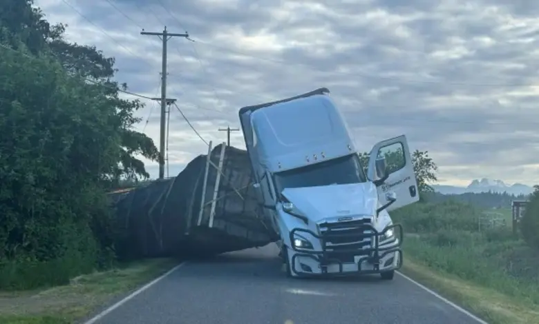 Bees on the Loose: Truck Crash Sparks Chaos in Washington