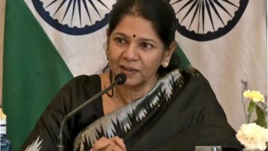 'Unity in Diversity is National Language': Kanimozhi's Spain Reply to Hindi Row - Video