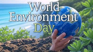 World Environment Day 2025: A Global Push to Combat Plastic Pollution