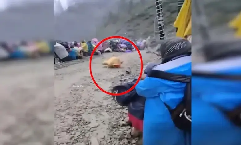 A woman lost her life while five other Amarnath Yatra pilgrims sustained injuries after incessant rainfall triggered rockslides and mudslides late Wednesday evening.