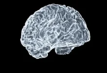 Monsoon Surge in Mumbai: Brain-Damaging Tapeworm Infections on the Rise