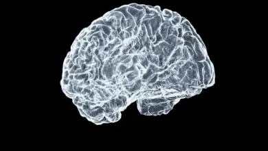 Monsoon Surge in Mumbai: Brain-Damaging Tapeworm Infections on the Rise