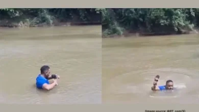 Brazilian Journalist Unknowingly Encounters Missing Girl’s Body During Live Report