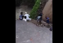 Second Bridge Collapse in Gujarat Raises Safety Concerns After Vadodara Tragedy