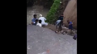 Second Bridge Collapse in Gujarat Raises Safety Concerns After Vadodara Tragedy