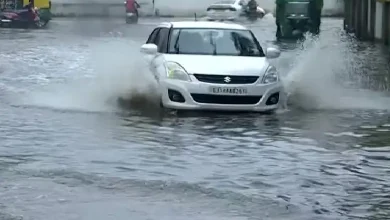 With the onset of the holy month of Shravan, a fresh spell of rainfall has begun in Gujarat.