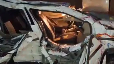 Eight members of a family died after a Bolero SUV carrying a wedding party crashed into a wall of a college in Uttar Pradesh's Sambhal district on Friday.