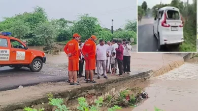 A horrific accident took place late at night near Godhavata village in Ranpur taluka. Car, which was going from Bochasan to the famous pilgrimage destination of Salangpur