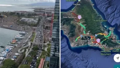 Chaos on Hawaiian Roads as Tsunami Warning Sparks Mass Evacuation