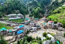 Heroic Dog’s Bark Saves 60 Lives in Himachal Pradesh Landslide Disaster
