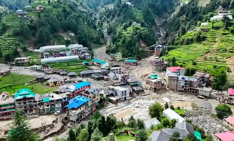 Heroic Dog’s Bark Saves 60 Lives in Himachal Pradesh Landslide Disaster