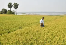 New ₹24,000 Crore Farm Initiative to Transform 100 Indian Districts