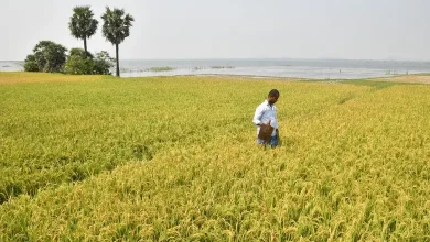 New ₹24,000 Crore Farm Initiative to Transform 100 Indian Districts
