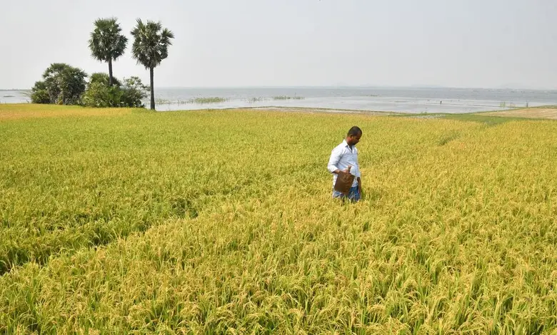 New ₹24,000 Crore Farm Initiative to Transform 100 Indian Districts