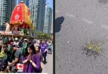 India Condemns Egg Attack on Toronto Rath Yatra