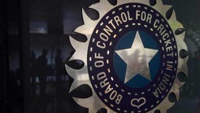 BCCI Shatters Records with Rs 9,741.7 Crore Revenue in FY 2023-24, IPL Accounts for 59%