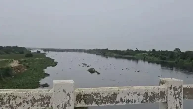 Flood Alert Issued for 26 Villages in Gujarat’s Dholka and Daskroi Talukas