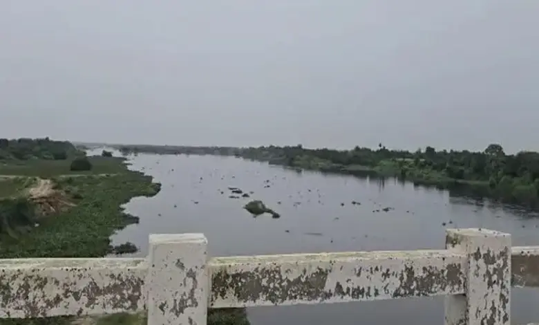 Flood Alert Issued for 26 Villages in Gujarat’s Dholka and Daskroi Talukas