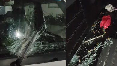 Gujarat Family Attacked in Rajasthan: Stone-Pelting Targets Pilgrims Returning from Markundeshwar Temple, Woman Injured