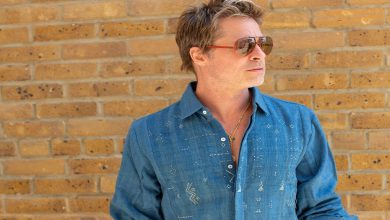 Gujarat's Tangaliya Craft Goes Global: Brad Pitt's Shirt in 'F1' Film Spotlights Ancient Indian Weaving Art