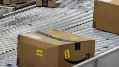 E-Commerce Exploited for Terror: FATF Highlights Pulwama Attack's Amazon Link