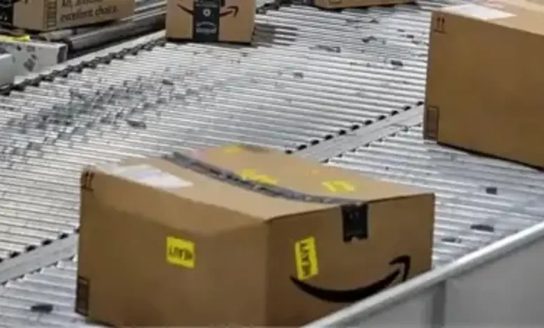 E-Commerce Exploited for Terror: FATF Highlights Pulwama Attack's Amazon Link