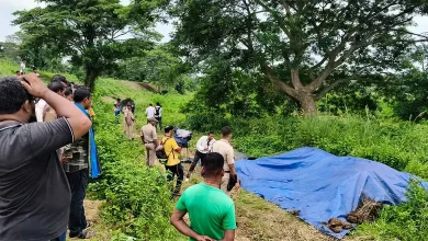 Teenage Girl Set Ablaze in Puri: Police Hunt for Three Suspects