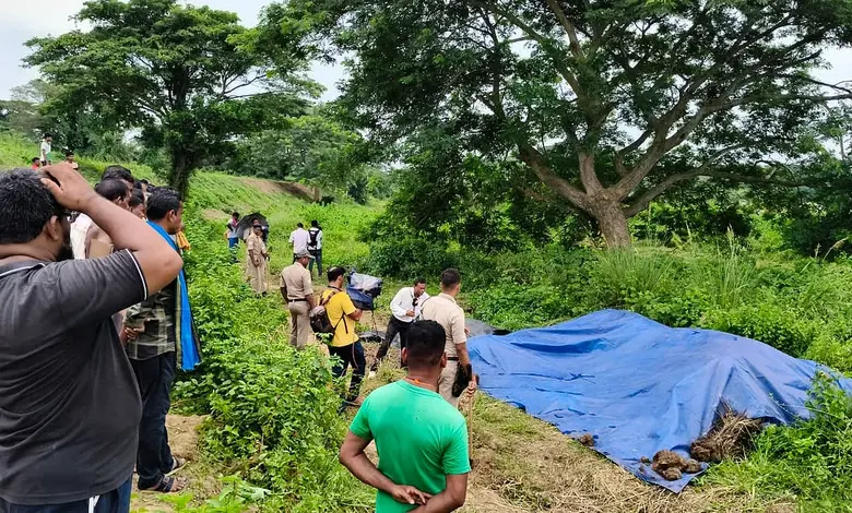 Teenage Girl Set Ablaze in Puri: Police Hunt for Three Suspects