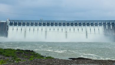 Water Levels in Sardar Sarovar Dam Rise to 55% Amid Steady Rainfall — Check Status of Other Dams in Gujarat