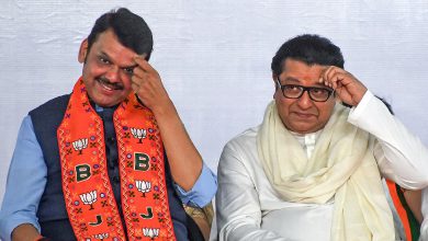 'We Will Shut Down Schools': Raj Thackeray's Warning to CM Fadnavis Over Hindi Imposition