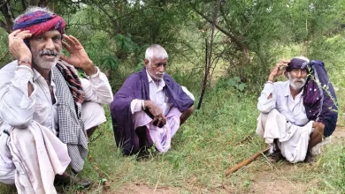 48 Sheep and Goats Die After Lightning Strike in Surendranagar's Muli: Heavy Loss for a Single Herdsman, Area in Mourning