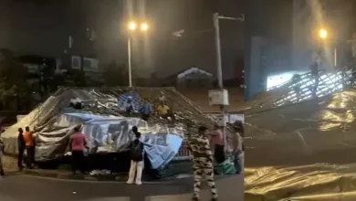 BMC Shuts Down Dadar Kabutarkhana Amid Health Concerns, Warns Against Pigeon Feeding