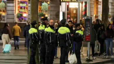 A six-year-old Indian-origin girl is the latest victim of racist attacks in Ireland.