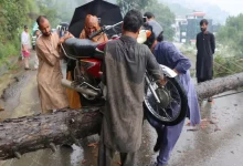 The death toll from the recent flash floods in Pakistan’s Khyber Pakhtunkhwa rose to over 300, provincial authorities said on Saturday.