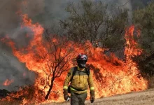 Fierce Wildfires Sweep Southern Europe, Prompting Mass Evacuations