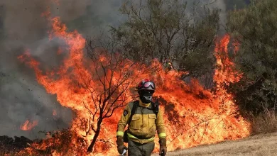Fierce Wildfires Sweep Southern Europe, Prompting Mass Evacuations