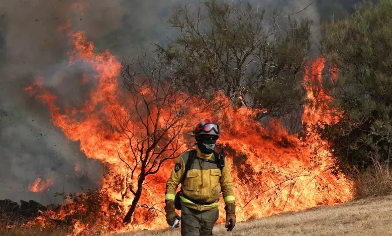 Fierce Wildfires Sweep Southern Europe, Prompting Mass Evacuations