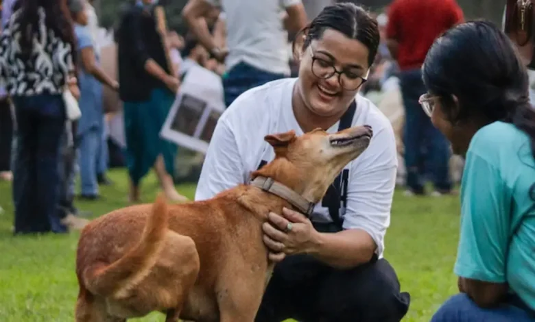The Supreme Court on Friday modified its contentious August 8 order on stray dogs, directing their release to the same area after vaccination and deworming - a verdict that was met with jubilation by animal lovers.