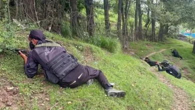 Security Forces Corner Two Hizbul Mujahideen Operatives in Jammu and Kashmir’s Kishtwar