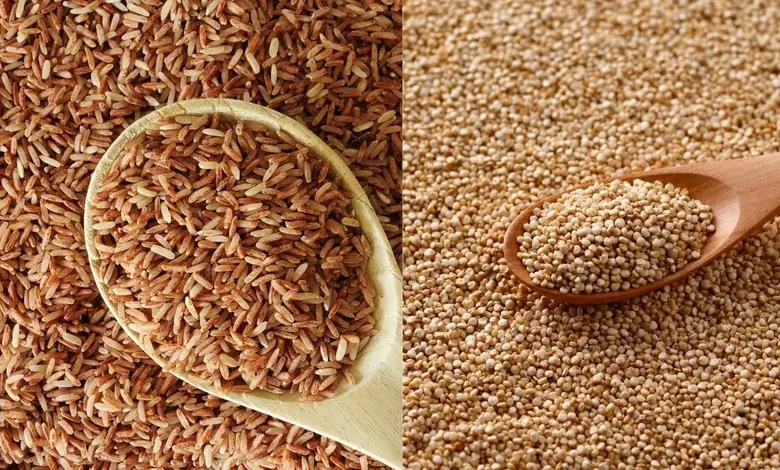 Brown Rice vs. Quinoa: Which Grain Supports Better Blood Sugar Management?