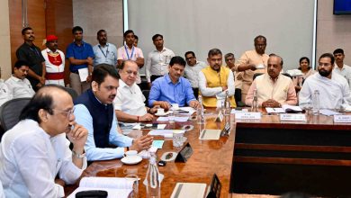 Chief Minister's initiative to bring back Madhuri alias Mahadevi elephant to Nandani Math