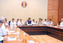 Chief Minister's sensitive initiative to save pigeons